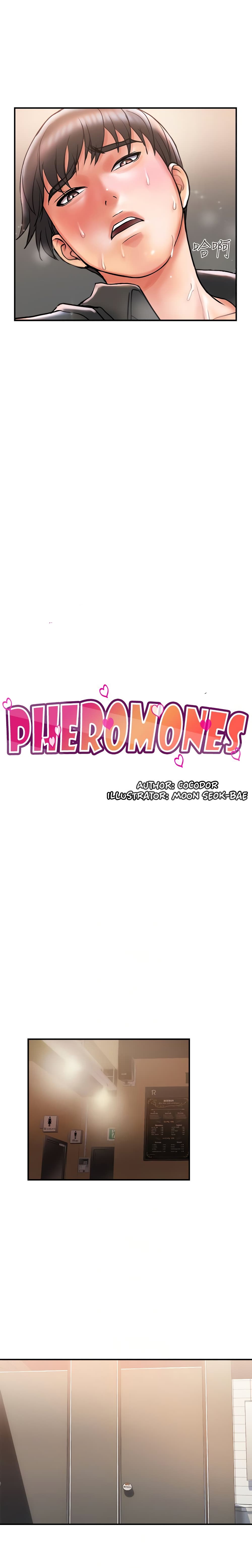 Pheromones 4 (4)
