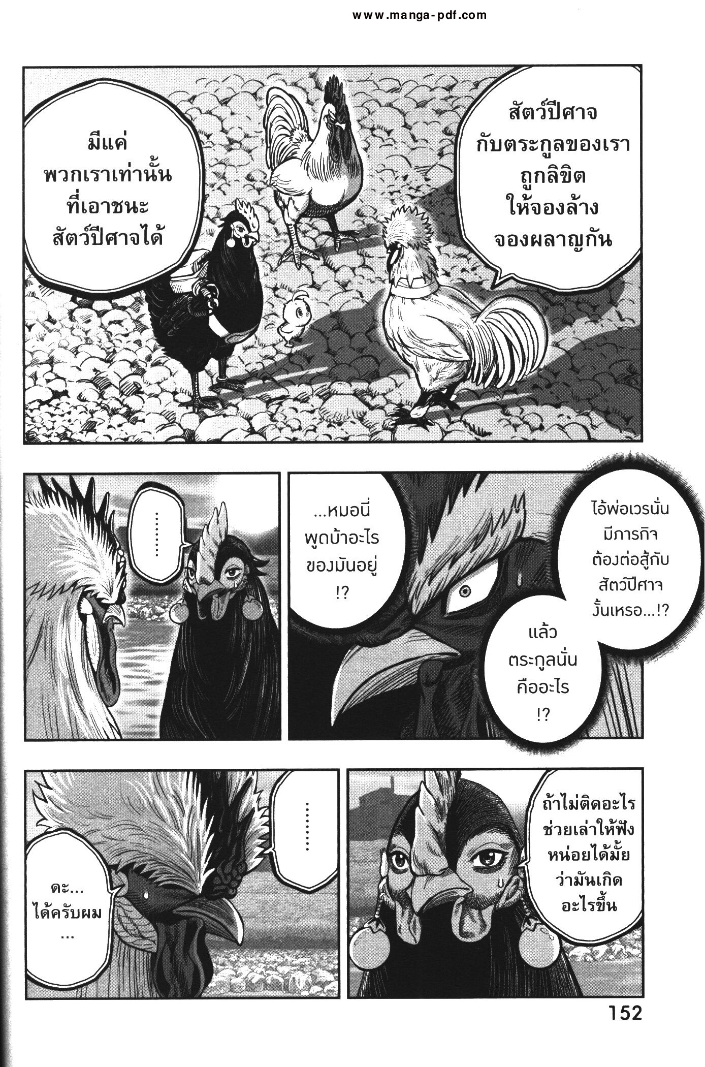 Rooster Fighter 20 (14)