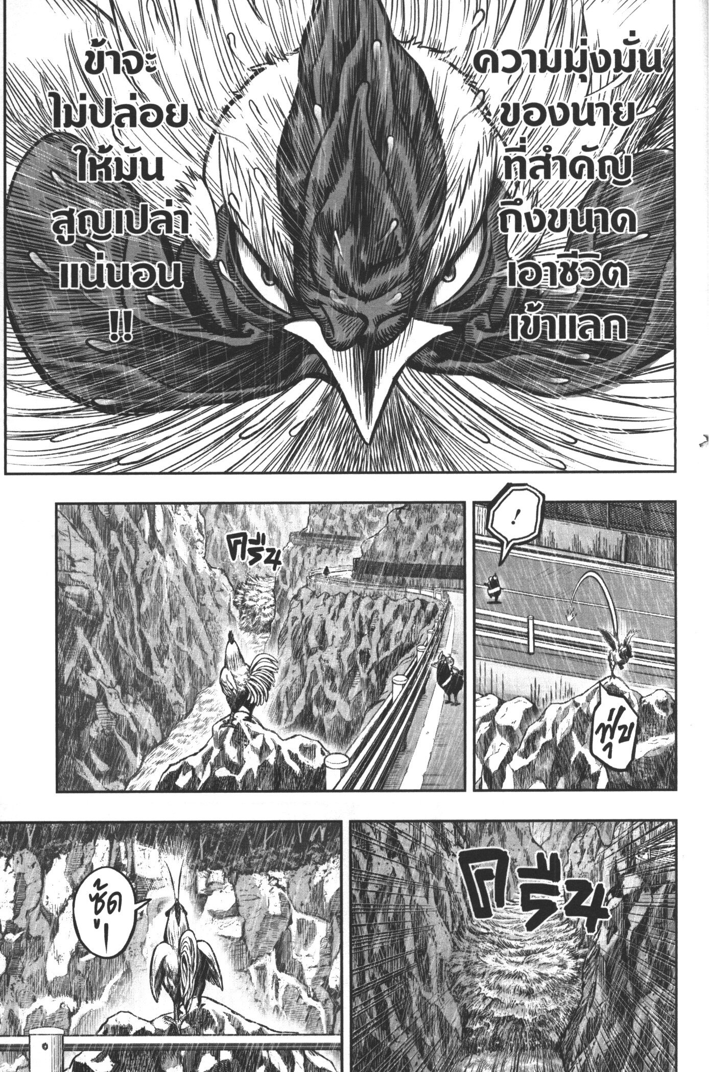 Rooster Fighter 15 (13)