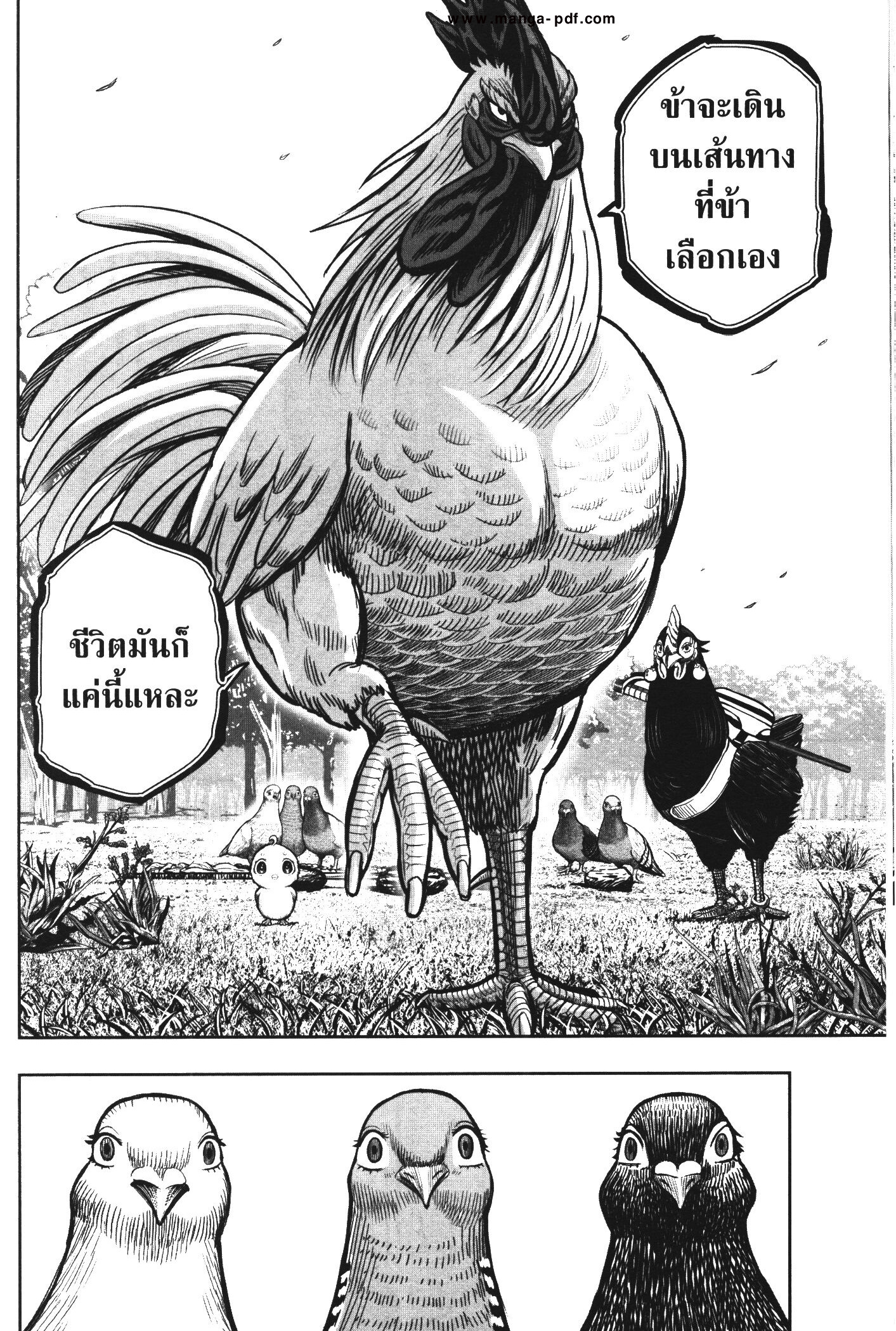 Rooster Fighter 17 (28)