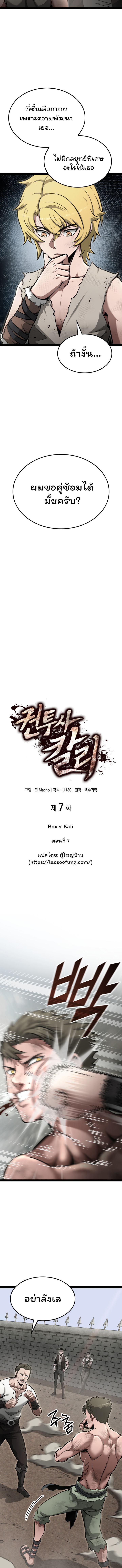 Boxer Kali 7 (4)