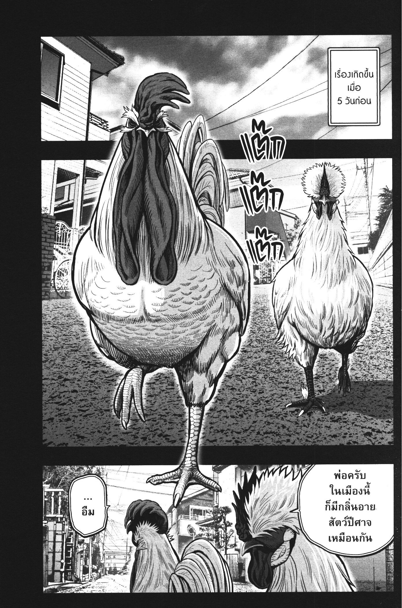 Rooster Fighter 20 (15)