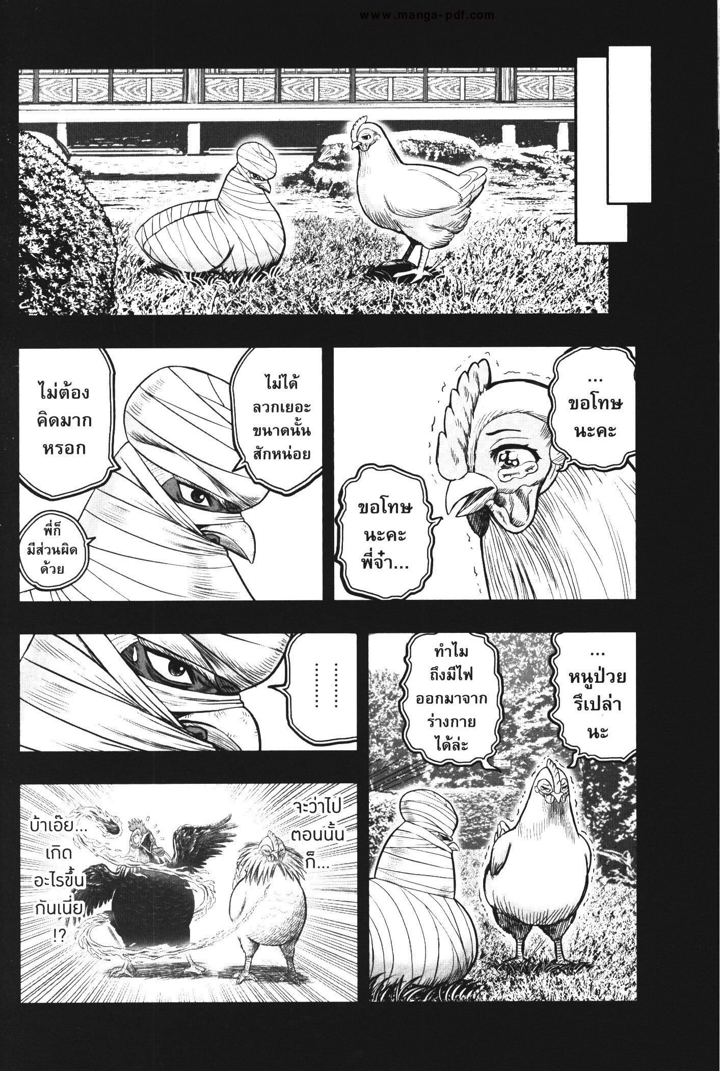 Rooster Fighter 17 (6)