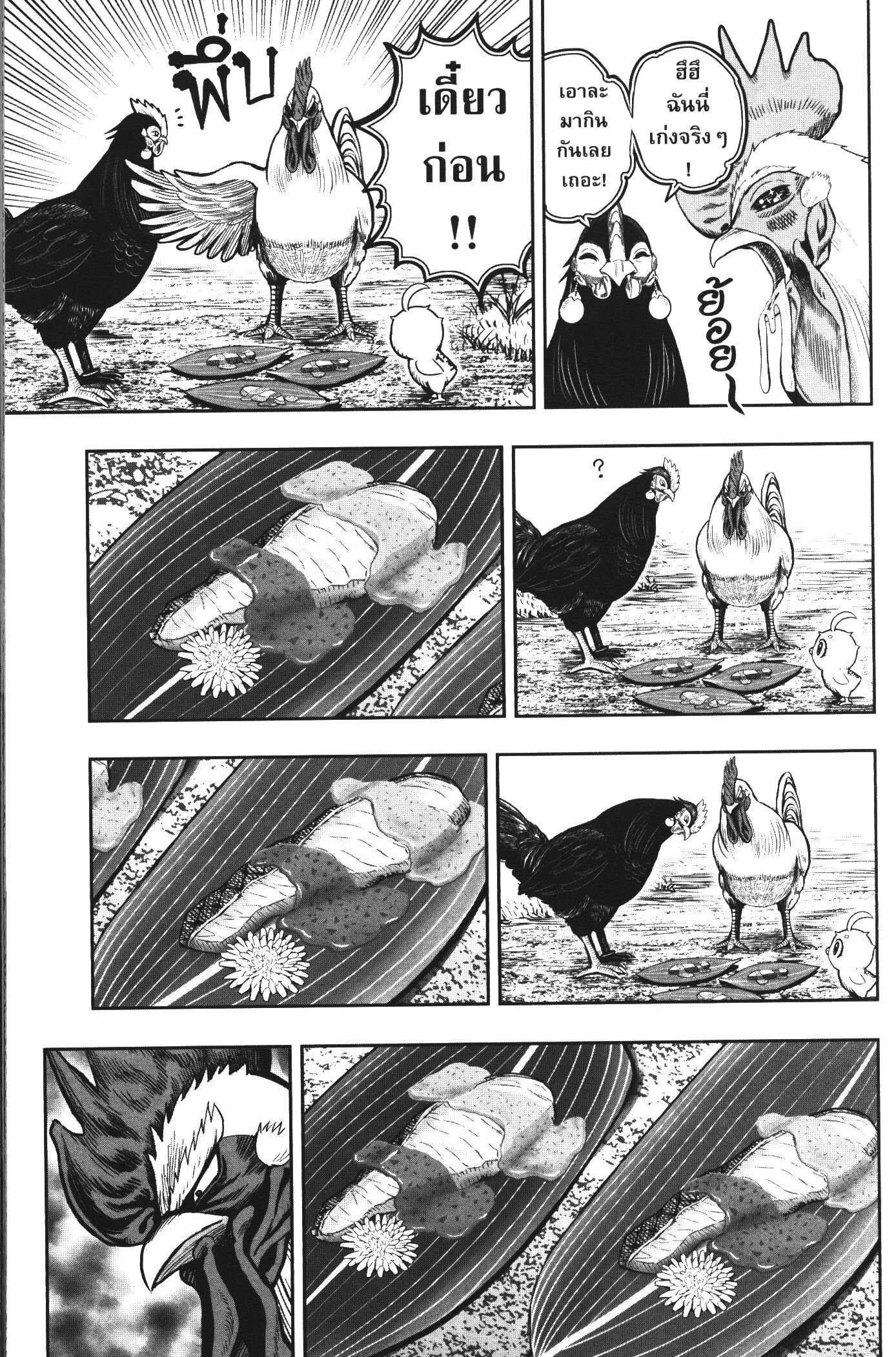 Rooster Fighter 18 (11)