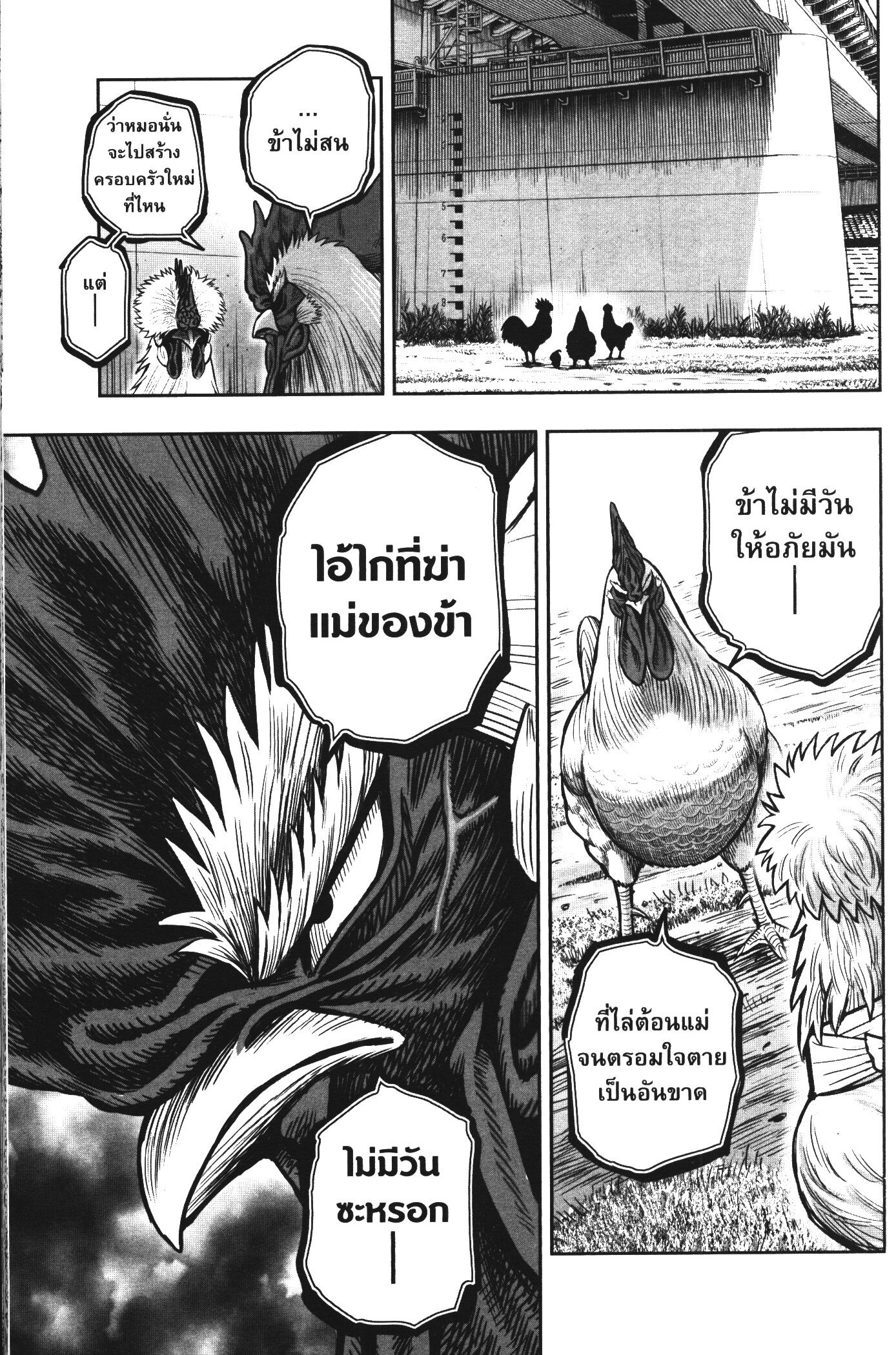 Rooster Fighter 19 (23)