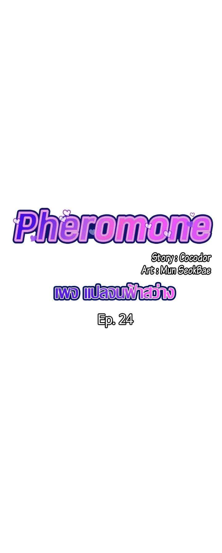 Pheromones 24 (1)