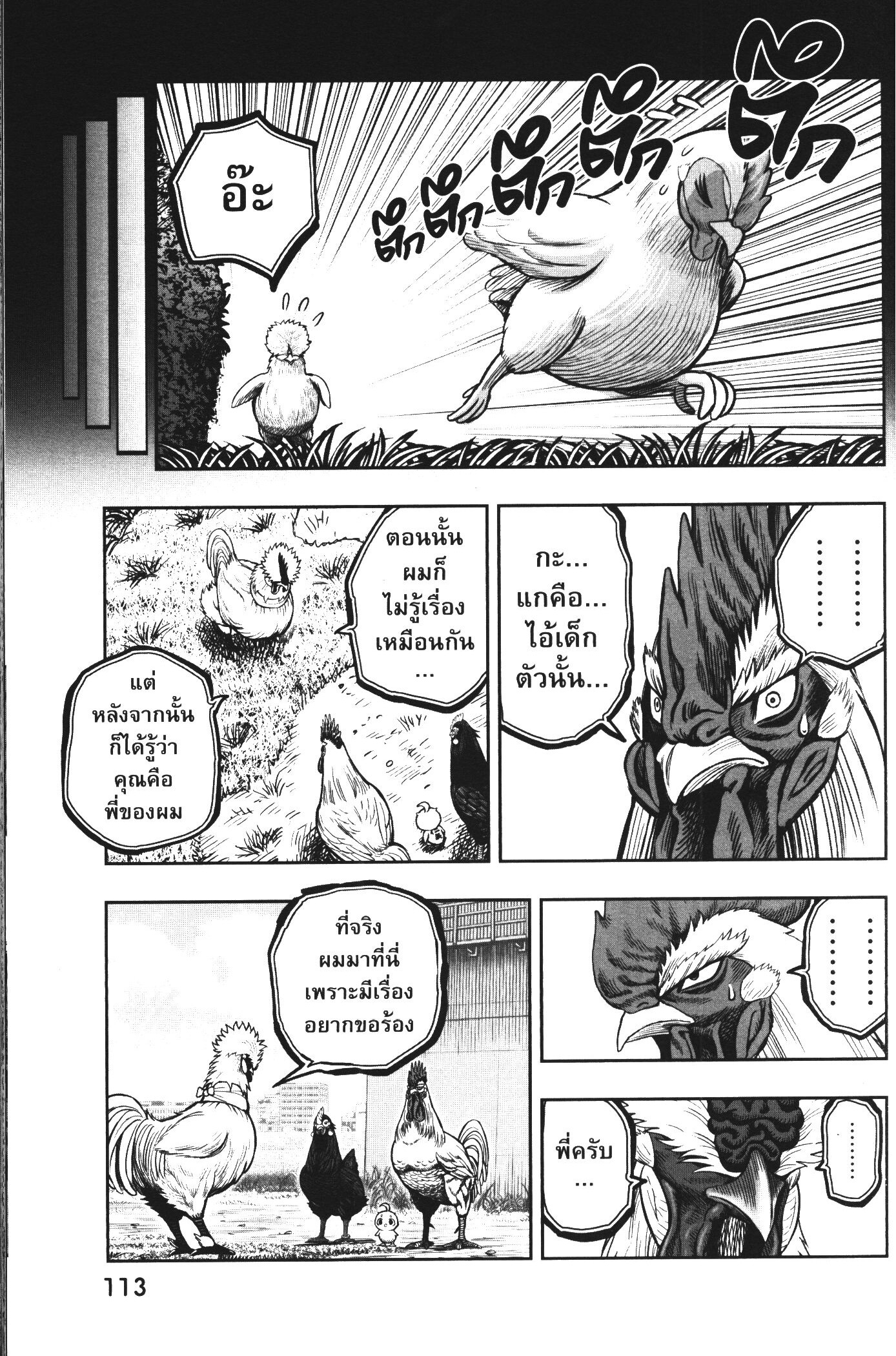 Rooster Fighter 19 (15)
