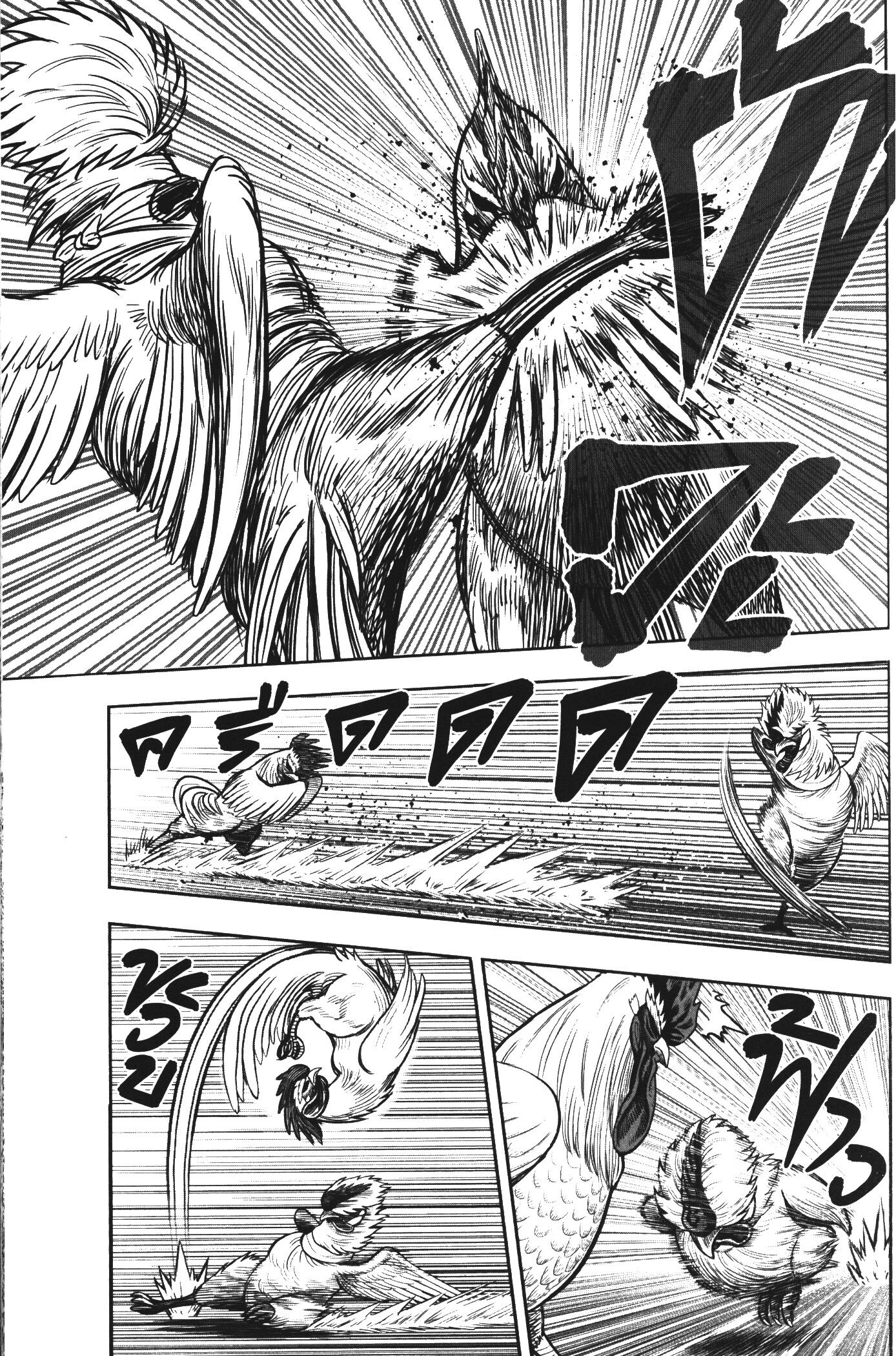 Rooster Fighter 19 (29)