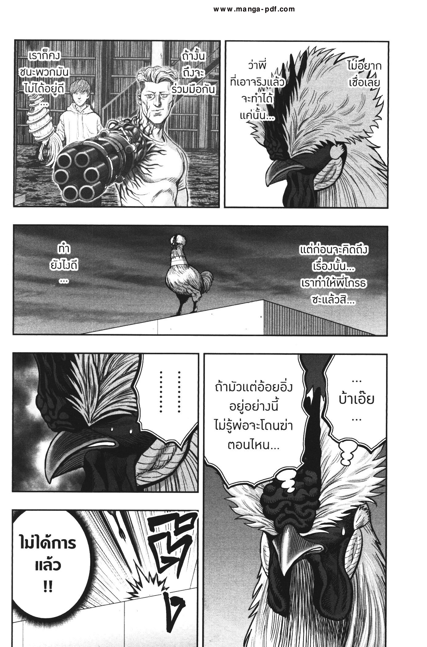 Rooster Fighter 20 (4)