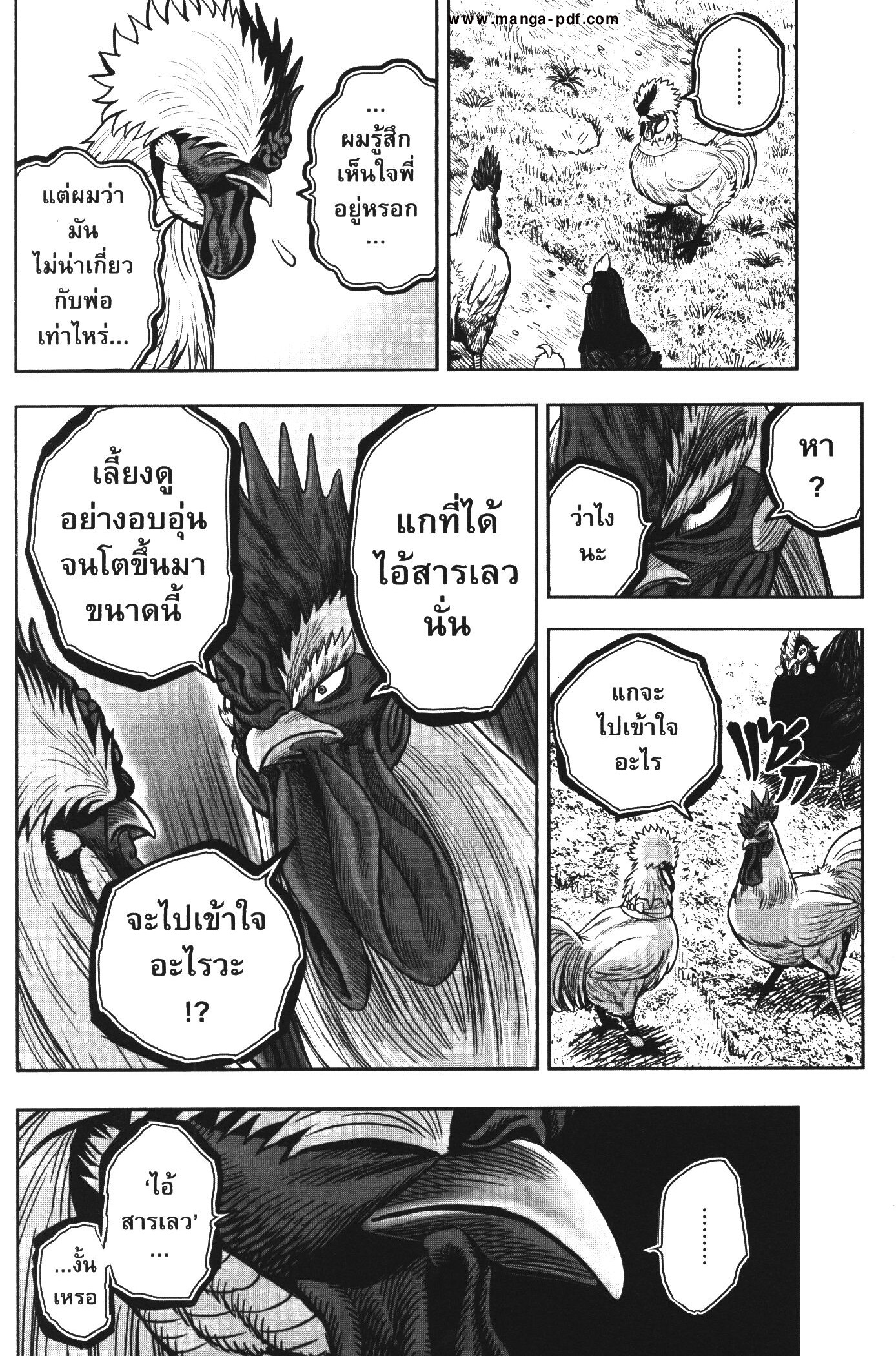 Rooster Fighter 19 (24)
