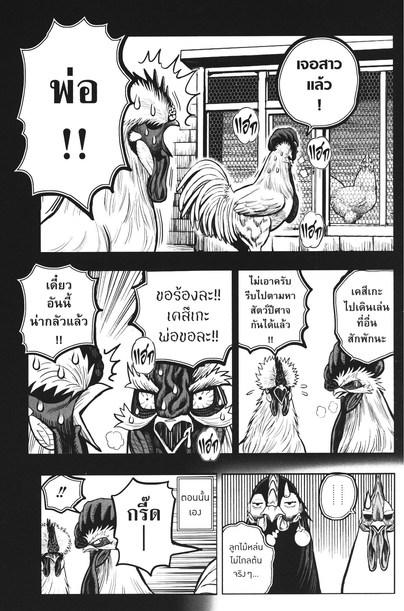 Rooster Fighter 20 (17)