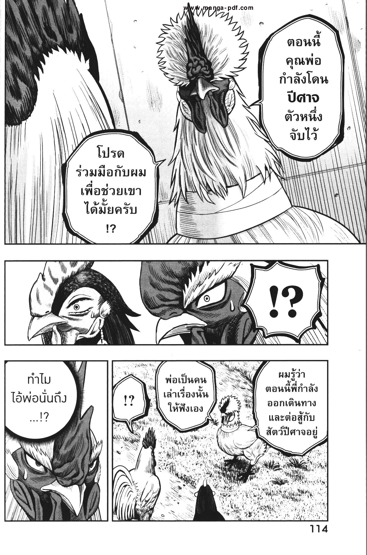 Rooster Fighter 19 (16)