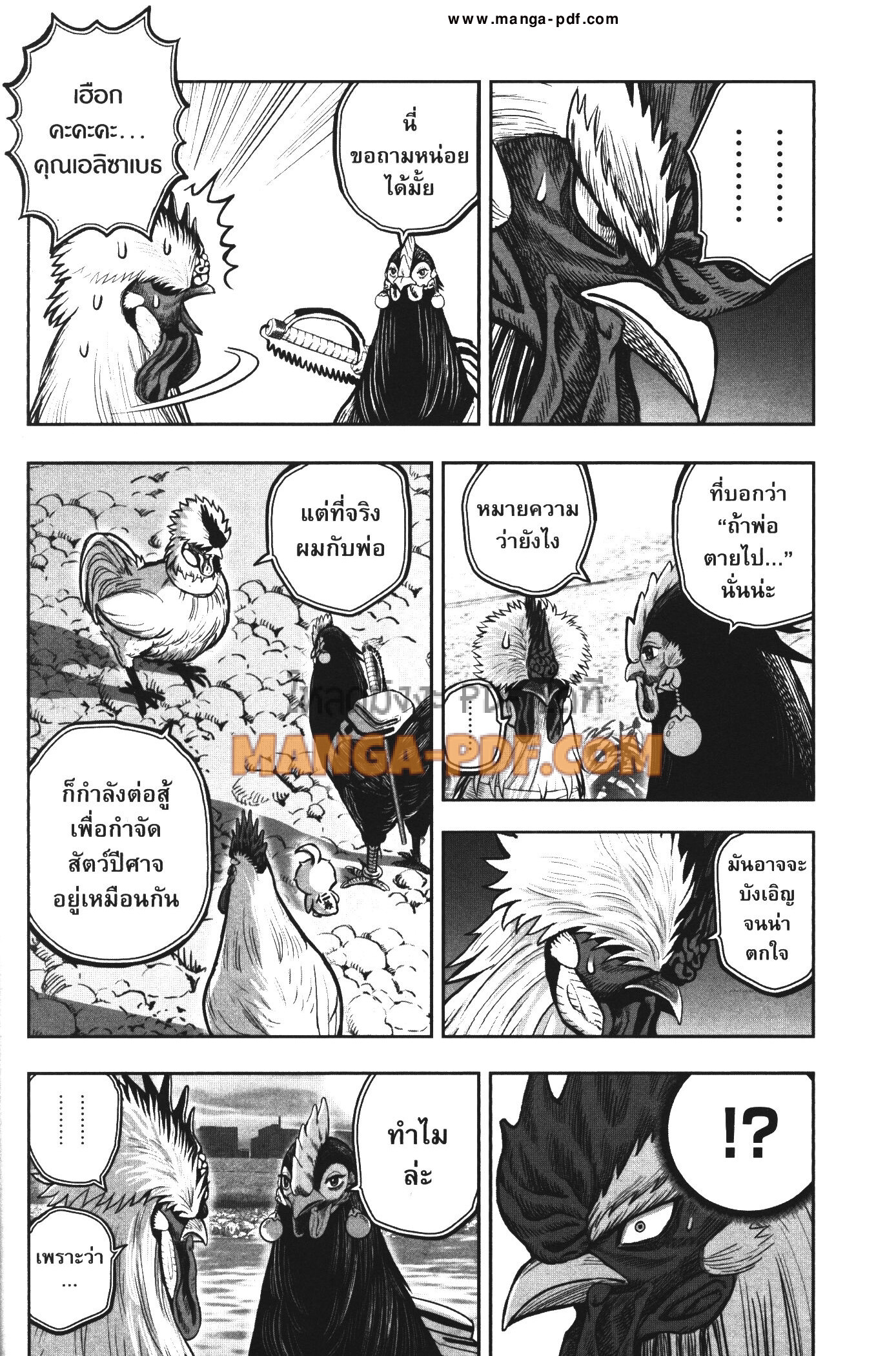 Rooster Fighter 20 (12)