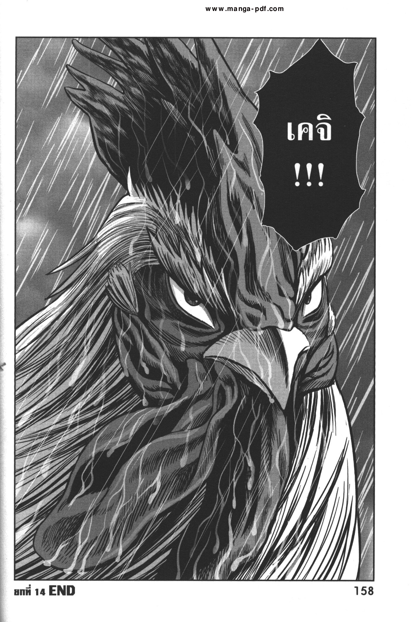 Rooster Fighter 14 (32)
