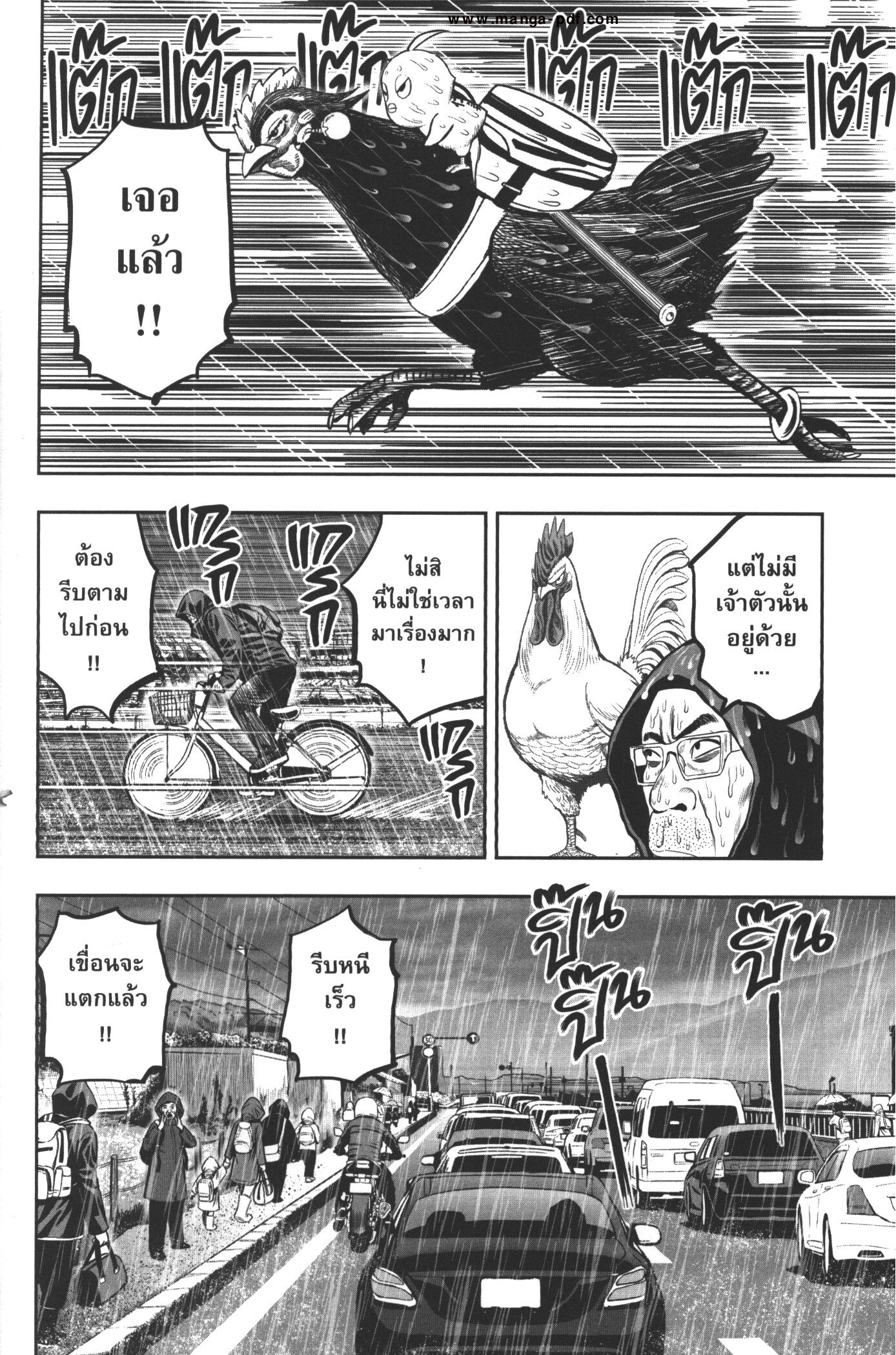 Rooster Fighter 14 (14)