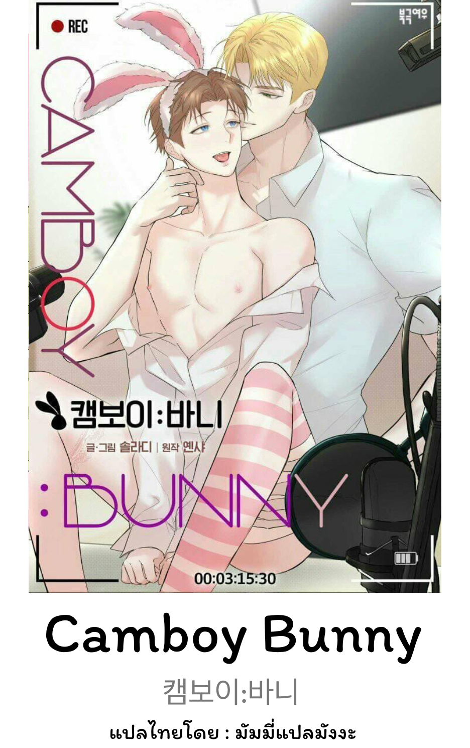 Camboy Bunny 6 (1)