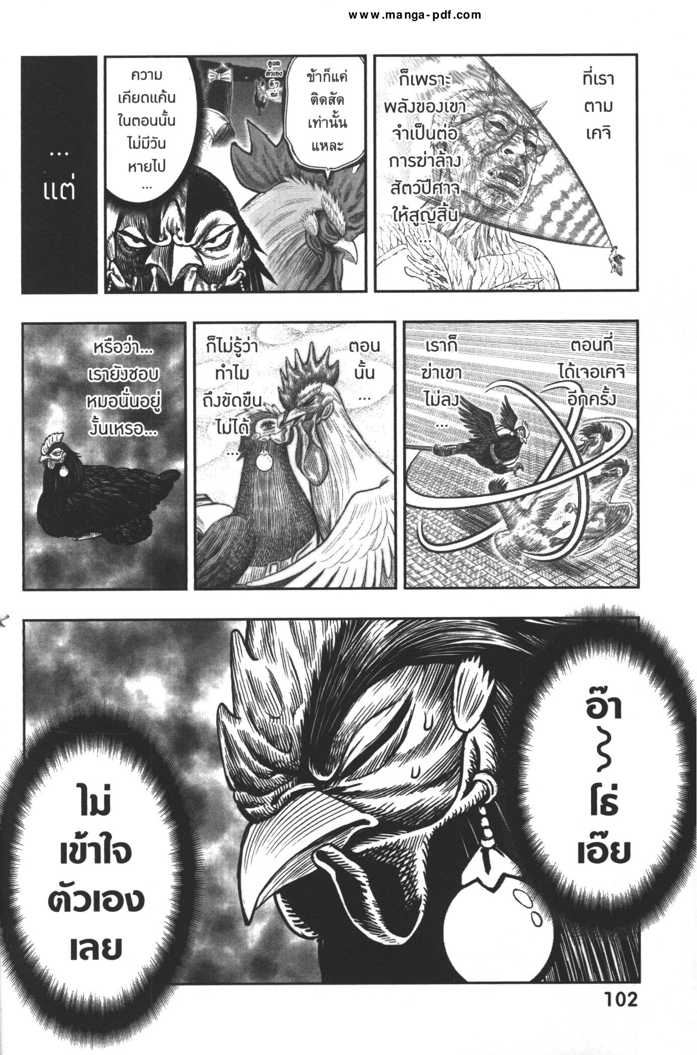 Rooster Fighter 13 (12)
