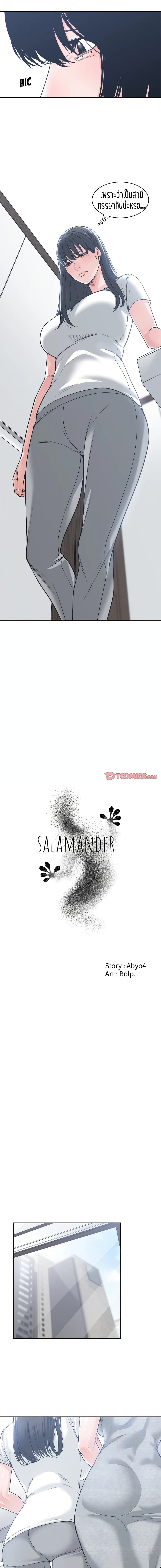 Salamander 17 05